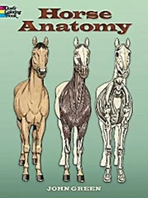 Produktbild von Horse Anatomy