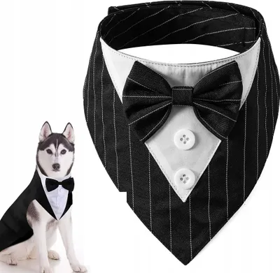 Immagine prodotto di MUCHA CANE GATTO GUARDIA Universale con chiusura a velcro Tuta ELEGANZA taglia M