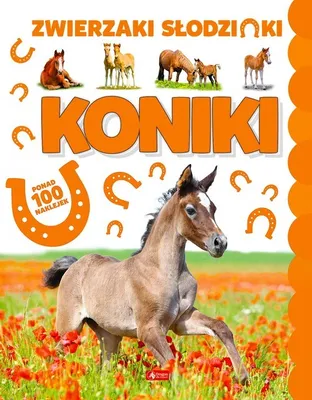Immagine prodotto di Zwierzaki słodziaki. Koniki. Ponad 100 naklejek