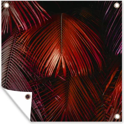 Obrázek produktu pro MuchoWow® Zahradní plakáty - Džungle - Design - Barvy - Listy - 100x100 cm - Zahradní dekorace