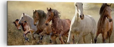 Produktbild von Bild auf Leinwand - Leinwandbild - Pferd Tier Natur - 140x50cm - Wand Bild - Wanddeko - Wandbilder - Leinwanddruck - Bilder - Kunstdruck - Wanddekoration - Leinwand bilder - Wandkunst - AB140x50-3640