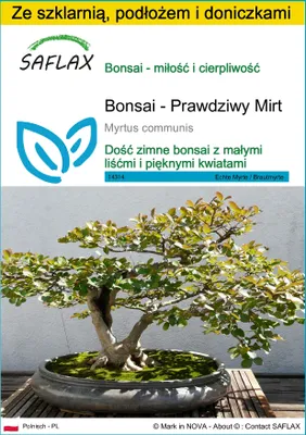 Zdjęcie produktu dla SAFLAX - Zestaw do uprawy - Bonsai - Prawdziwy Mirt - 30 Nasiona - Z mini szklarnią, podłożem uprawowym i 2 doniczkami - Myrtus communis