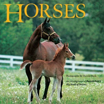 Produktbild von Horses