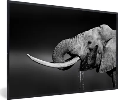 Produktbild von MuchoWow® Gerahmtes Poster Elefant - Wasser - Tiere - Schwarz - Weiß 30x20 cm - Poster mit Schwarzem Bilderrahmen Wandposter Rahmen Foto Bilder - Kunstdruck - Bild-Poster