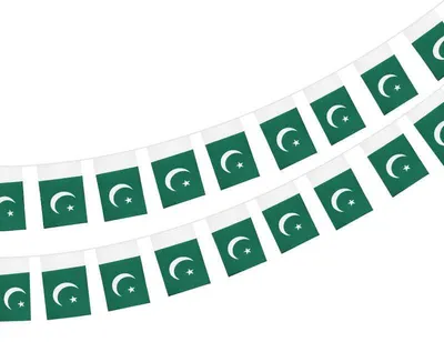 Produktbild von Pakistanische Flaggenkette, 40 Stück, 11,4 Meter, wasserdichte Stofffahnen