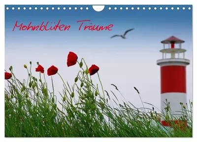 Produktbild von Mohnblumen Träume (Wandkalender 2027 DIN A4 quer), CALVENDO Monatskalender