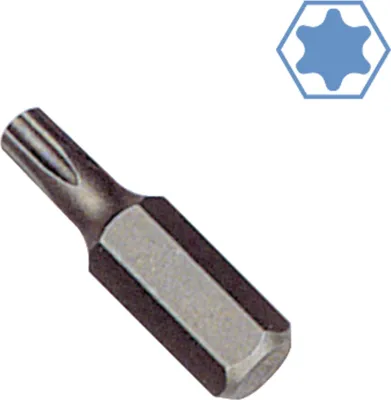 Obrázek produktu pro Šroubovací Bit Torx T25, S2 ocel