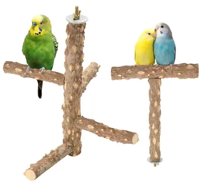 Image de Ensemble de deux perchoirs en bois pour oiseaux, en forme de T, pour perruches et autres oiseaux. Fabriqués en bois naturel, de 15 à 20 cm de longueur