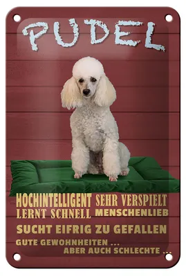 Produktbild von Blechschild Spruch 12x18cm Pudel hochintelligent lieb Hund