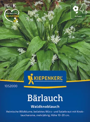 Produktbild von Kiepenkerl Bärlauchsamen Waldknoblauch Allium ursinum 35 Pflanzen