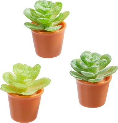 Produktbild von HobbyFun Miniatur Blumentopf 2.3 cm 3 Stück Puppenhaus Zubehör Deko Set
