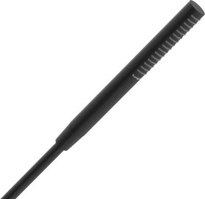 Produktbild von HANSGROHE 24125670 Stabhandbrause Pulsify S