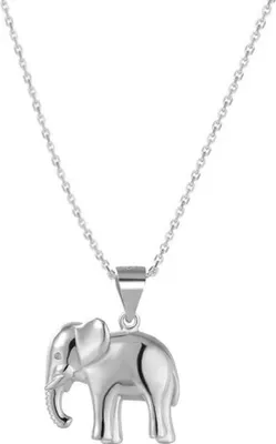 Image de Collier en argent avec éléphant AGS1136 / 47
