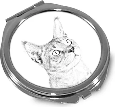 Productafbeelding van Chausie spiegel met de foto van een kat Art-Dog