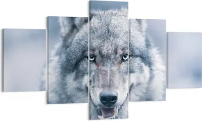 Produktbild von Bild auf Leinwand - Leinwandbild - 5 Teile - Wolf Raubtier Wildheit - 125x70cm - Wand Bild - Wanddeko - Wandbilder - Leinwanddruck - Bilder - Wanddekoration - Leinwand bilder - EA125x70-5073