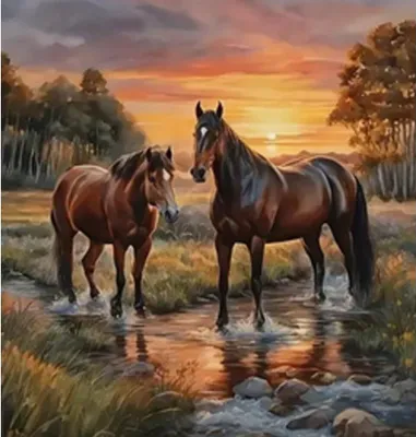 Image de NORIMPEX Peinture au diamant Chevaux dans la rivière 30x40cm
