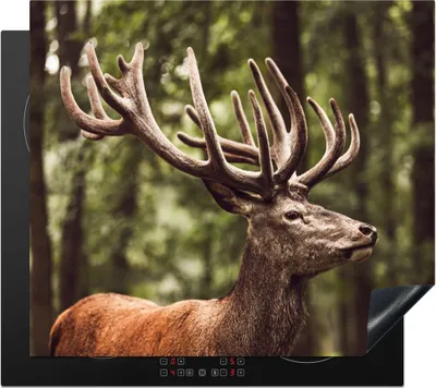 Produktbild von KitchenYeah© Herdabdeckplatte Hirsch - Natur - Geweih - Wald - Tiere , 59x51cm, Küche Deko, Glaskeramikkochfeld Herdabdeckung, Abdeckplatte fùr Kochfeld