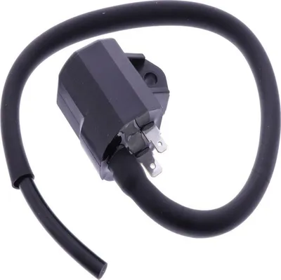 Obrázek produktu pro Zapalovací cívka pro Suzuki AN 125, rok výroby 1995–1999, od firmy Pamoto – nová
