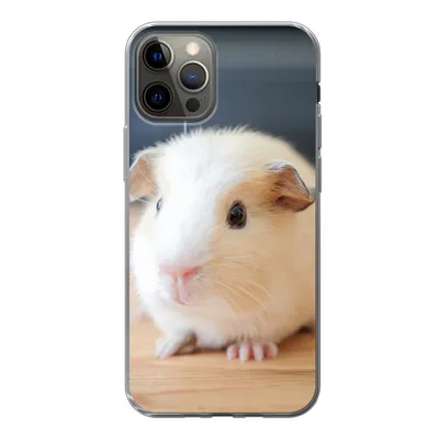 Produktbild von MuchoWow® Handyhülle Schutzhülle Hülle für iPhone 13 Pro Niedliches Baby-Meerschweinchen Silikon Softcase Handy Hülle - Handy-Tasche