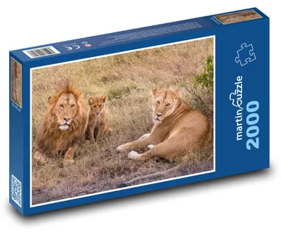 Obrázok produktu pre martinpuzzle – Puzzle 2000 – Lvy – rodina, mláda