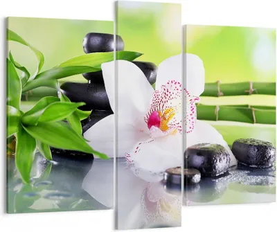 Produktbild von Bild auf Leinwand - Leinwandbild - blume orchidee - 95x80cm - Wand Bild - Wanddeko - Wandbilder - Leinwanddruck - Bilder - Kunstdruck - Wanddekoration - Leinwand bilder - Wandkunst - CB95x80-3659