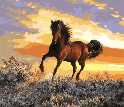 Produktbild von Malen nach Zahlen: Pferd im Sonnenuntergang, 40x50 cm, mit Rahmen, kreativ