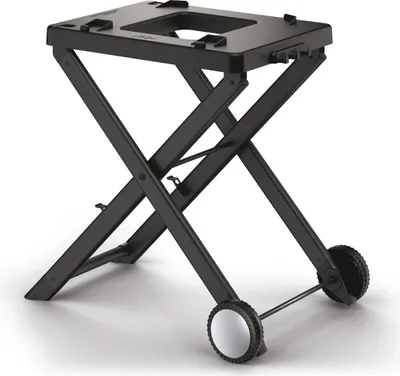 Produktbild von Ninja Woodfire faltbarer Grillständer für Woodfire OG701DE Elektrogrill XSKGRLLSTDEUK