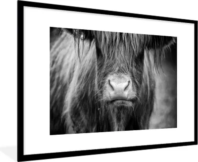 Produktbild von MuchoWow® Gerahmtes Poster Schottischer Highlander - Kuh - Schwarz - Weiß - Tiere 90x60 cm - Poster mit Schwarzem Bilderrahmen Wandposter Rahmen Foto Bilder - Wanddekoration - Fotos