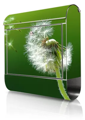 Produktbild von banjado Edelstahl Briefkasten mit Zeitungsfach mit Motiv Pusteblume großer Design Postkasten rostfrei, A4 Einwurf [BKGE2 10074]