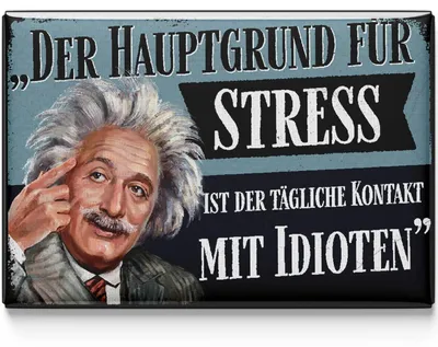 Produktbild von LANOLU Kühlschrankmagnete lustig- Der Hauptgrund für Stress - lustige Magnete mit Sprüchen und witzigen Motiven 8x5,5cm
