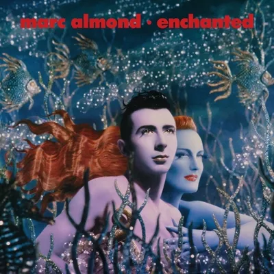 Image de Enchanted (Coffret 2 CD + 1 DVD)
