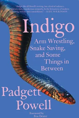Produktbild von Indigo