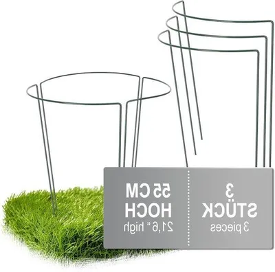 Image de Support pour roses et plantes grimpantes, hauteur 55 cm