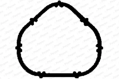 Produktbild von PAYEN JD5885 Ansaugkrümmer-Dichtung für RENAULT Clio III Schrägheck (BR0/1, CR0/1) TWINGO II (CN0) CLIO II (BB0/1/2, CB0/1/2) TWINGO I (C06)