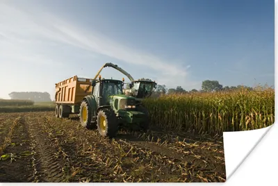 Produktbild von MuchoWow® Poster Traktor - Anhänger - Mais - Grün - Landleben 120x80 cm - Bilder