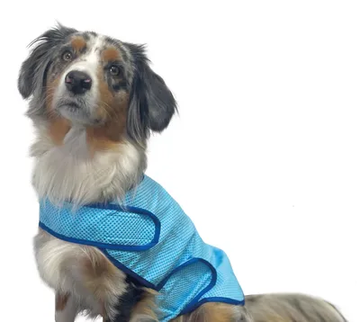 Produktbild von Nobby Kühl-Weste Comfort blau, Größe: S
