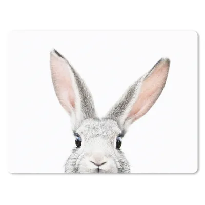 Produktbild von MuchoWow® Mauspad Mousepad Kaninchen - Tiere - Natur - Weiß 40x30 cm - Mousepads - Maus Mat - Pad - Mausunterlage - Anti Rutsch