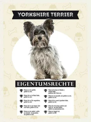 Produktbild von vianmo Holzschild 40x30 cm Yorkshire Terrier Eigentumsrechte Tier Haustier