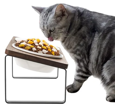 Erhöhter Katzenfutternapf mit Keramikschalen, Bambus, 15° Neigung, braun