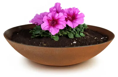 Immagine prodotto di Ciotola per piante da esterno Ciotola decorativa rotonda effetto ruggine 28 cm