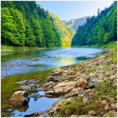 Produktbild von Wallario Memoboard Magnettafel aus Glas, Größe 50 x 50 cm, Motiv Fluss in den Bergen an steinigem Ufer