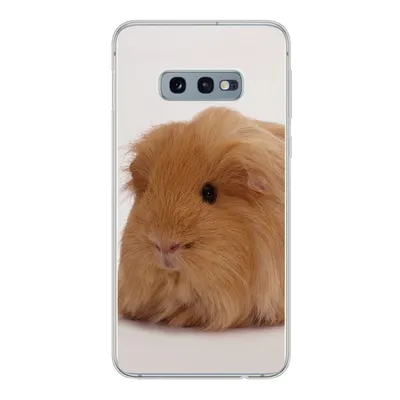 Produktbild von MuchoWow® Handyhülle Schutzhülle Hülle für Samsung Galaxy S10e Sheltie-Meerschweinchen Silikon Softcase Handy Hülle - Handy