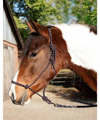 Produktbild von HKM Knotenhalfter Set -Trust-, schwarz, Pony