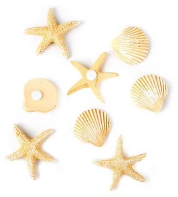 Produktbild von Streudeko Muscheln & Seesterne, 8 Stück: Maritime Deko Mini, Tischdeko Flach, Dekoration für Wohnzimmer & Badezimmer, Maritime Deko für Geschenke, Sommer, Strand & Meer, Mit Klebepunkt, 3 - 4 cm
