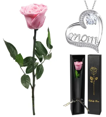 Immagine prodotto di Rosa vera con catena d'argento - Regalo per la Festa della Mamma