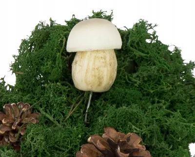 Produktbild von Akces TM15-01 Deko-Pilz aus Schaumstoff, weiß