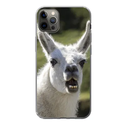Produktbild von MuchoWow® Handyhülle Schutzhülle Hülle für iPhone 13 Pro Max Lama - Lustig - Kinder - Jungen - Mädchen - Kinder Silikon Softcase Handy Hülle - Mobiltelefon