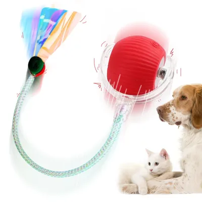 Interaktiver Katzenball mit LED, 360° Rollball für Katzen & Hunde