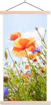 Produktbild von MuchoWow® Textilposter Blumen - Mohn - Frühling - Natur - Rot - Blau 40x80 cm mit holzfarbenen Rahmen - Wohnzimmer