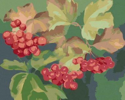 Produktbild von Zuty - Malen nach Zahlen - ROTE JOHANNISBEEREN (MYROSLAVA VOLOSCHUK), 40x50 cm, ohne Keilrahmen